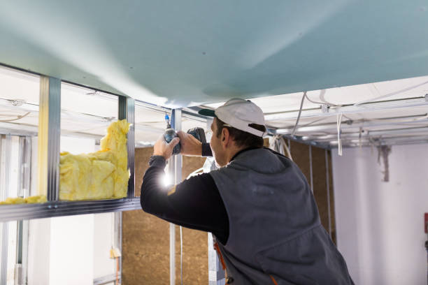 Best Commercial Insulation in Emporia, VA
