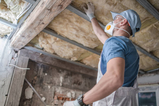 Best Insulation Materials and Products in Emporia, VA