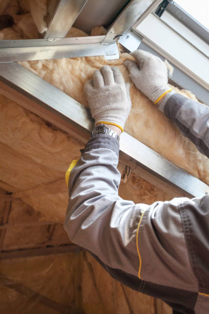 Best Commercial Insulation in Emporia, VA