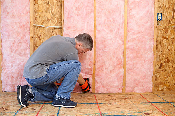 Best Insulation Maintenance and Repair in Emporia, VA
